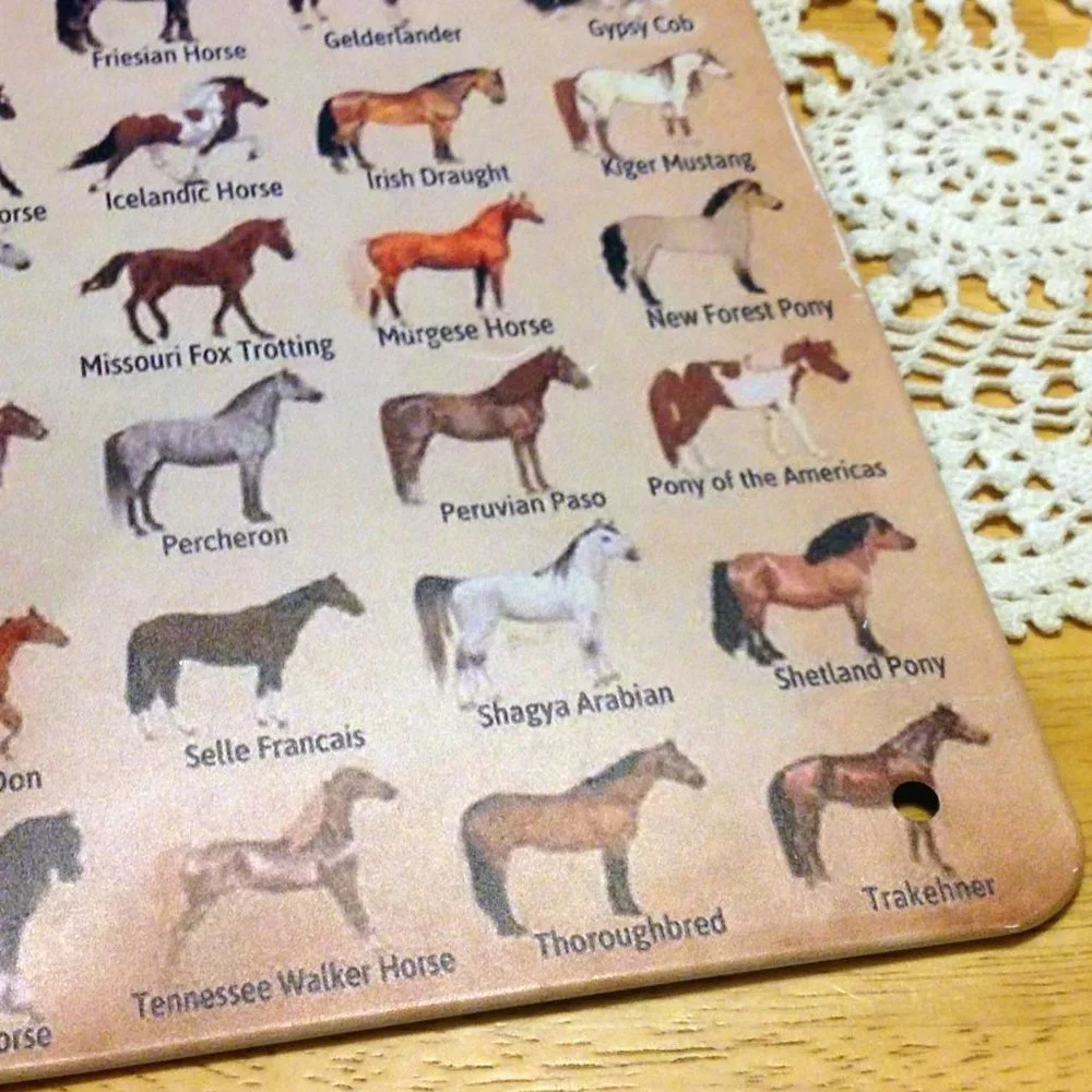Equine types, sign showing different horse breeds